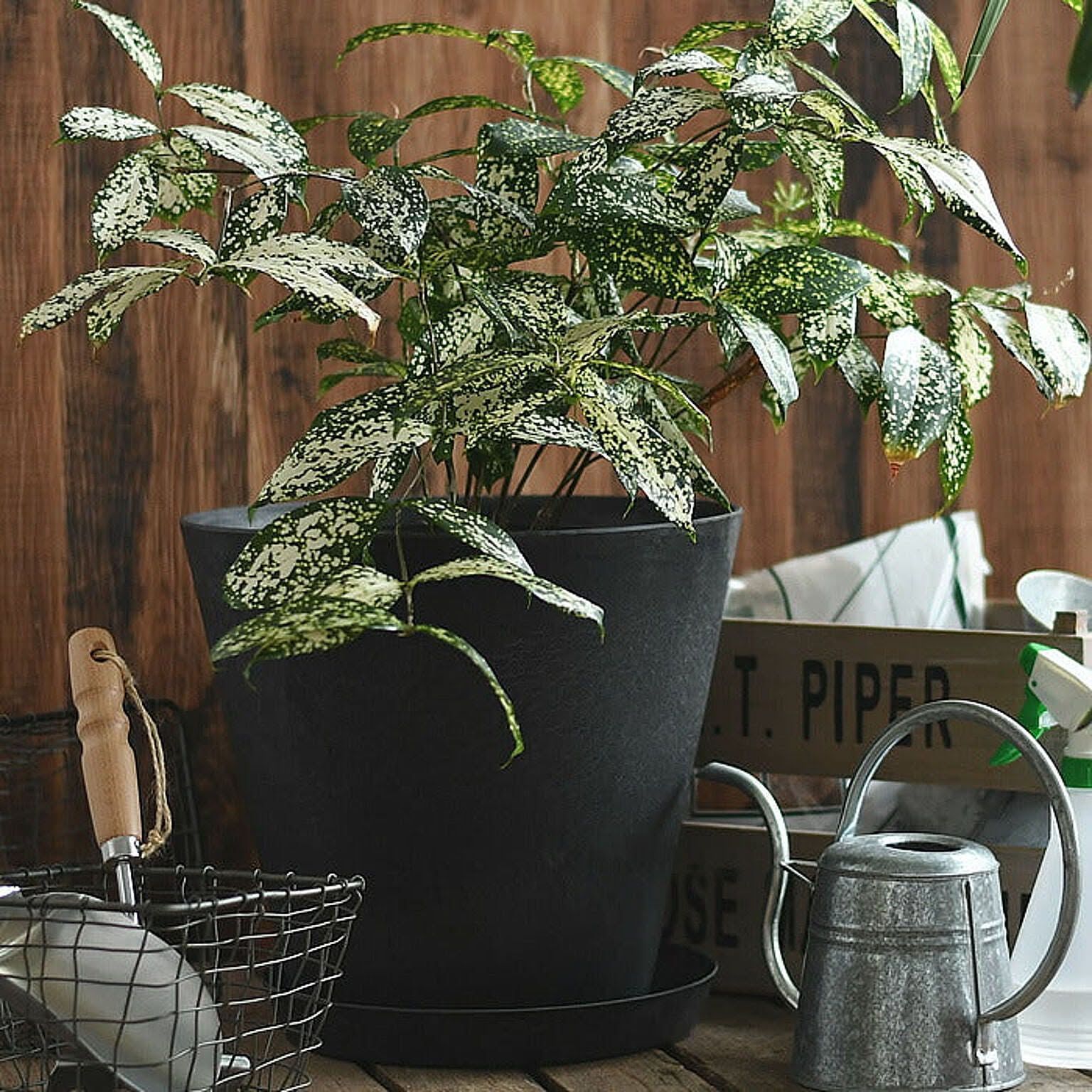 プランター・植木鉢