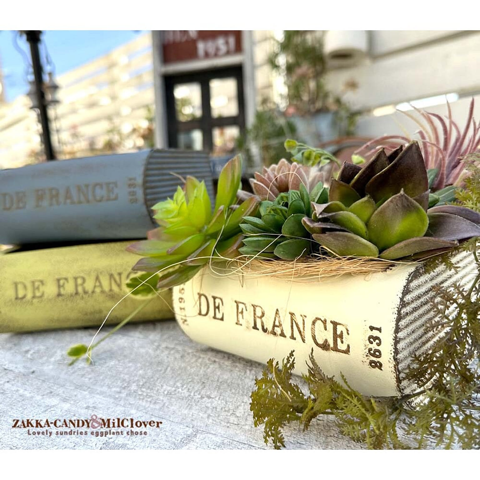 プランター・植木鉢