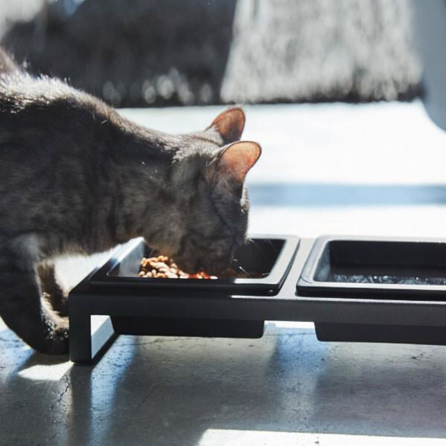 猫用インテリア・猫用家具