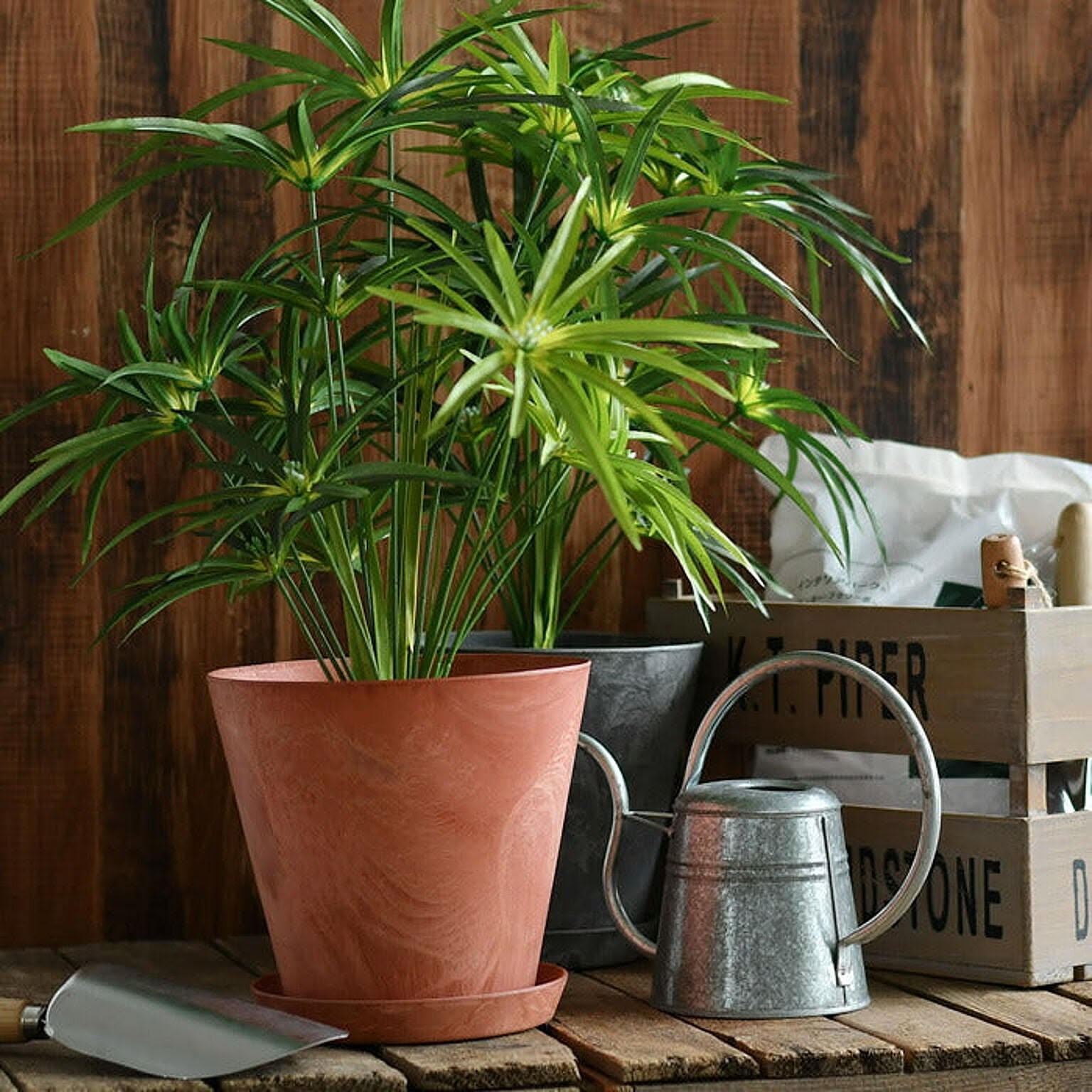 プランター・植木鉢
