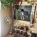 ファン多数!いなざうるす屋フェイクグリーンをリビングに