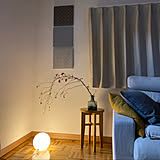 はっとするようなアクセントに!お部屋に取り入れたい枝ものディスプレイ