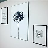 「24m2。視覚効果で広く◎ホワイト×植物色の映える部屋」 by miitanさん