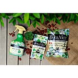 【無料モニター】ガーデニング初心者でも大丈夫!手軽な多肉植物栽培セットで暮らしにグリーンを取り入れませんか♪