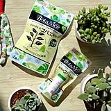 【無料モニター】観葉植物まわりの虫対策に！“コバエ退治” 2点セットのモニター大募集！