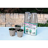 【無料モニター】植物のある暮らしを始めよう♪誰でも手軽に楽しめる「タネまきセット」モニター大募集！