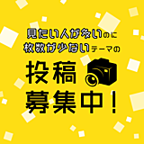 お助け！おうち撮影クエスト みんなが検索しているモノ編