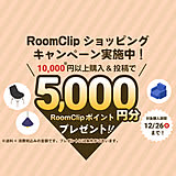 お買いもの&投稿で5,000円分ポイントもらえる♪RoomClipショッピングで買ったちょっといいものキャンペーン