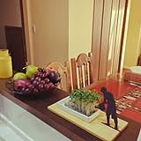 「豆苗栽培を遊びあるインテリアにする、モチーフ付きプレート」 by norachiwaさん