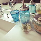 手軽に取入れられる♪スターフィッシュ(ヒトデ)を使った夏インテリア
