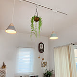 住まいの照明計画に迷っている方必見！個性豊かなデザインが楽しめるコイズミ照明のおすすめアイテム6選