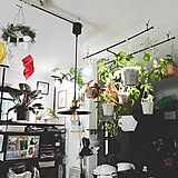 床に置かなくてもグリーンを飾れる！吊るして彩る、ハンギングプランターのある暮らし