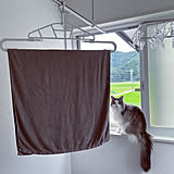 毎日の洗濯がスムーズになる♪バスタオルの干し方を工夫している実例10選