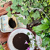 そのコーヒーかす、捨てないで！暮らしに役立つ再利用方法6選