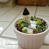 使い方いろいろ♪セリアのラブリーなココットの魅力に密着