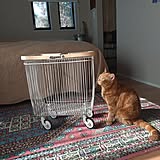 キャスター付きや折りたたみができるタイプも！便利でおすすめのランドリーバスケットをご紹介