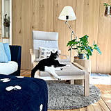 リラックスできる空間づくりに♪毎日がもっと心地よくなるIKEAのアームチェアがある暮らし