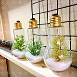 これは買い♡絶対欲しくなるセリアの大人気アイテム11選