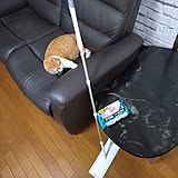 【わが家のおすすめ4選】おうち時間がもっと心地よくなる♪快適な暮らしを叶える4つのアイテム by NOAHさん