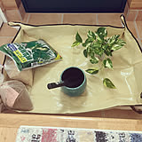 お手入れも装飾も楽しめる！ダイソーでそろうガーデニング用品