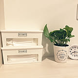 タイプや置き場所に合わせて選ぶ！セリアの「マスク収納」6選