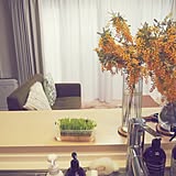 自分のペースだからがんばれる♪おうちでできる節約術