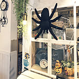こんなアイディアも!100均グッズでハロウィンを飾ろう