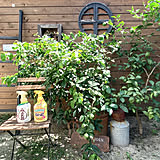 「予防＆退治」のダブル対策がオススメ◎ガーデニングや家庭菜園をもっと快適にするアイデアとは？