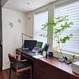 インテリアにフレッシュな彩りを♪ドウダンツツジのあるお部屋6選
