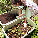 子ども達に伝えたい大切なこと☆おうちでできる食育のアイデア