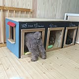 インテリアもペットとの暮らしも楽しむ♪ペットグッズDIY