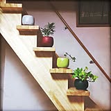 飾るように使う。IDEE(イデー)のある日常