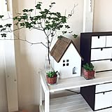 使いやすいのに個性的が好き♪ちょっと変わった救急箱