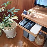 使いやすくて見栄えもいい♪おすすめしたいリモコン収納のアイデア6選