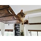 ネコ飼いさんがDIY!ネコちゃんがよろこぶ手作り遊び場