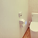 お掃除クリーナーから収納棚まで♪トイレを快適に整える100均アイテム