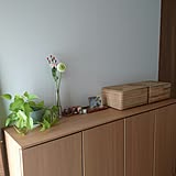 玄関収納の悩みはコレで解決!無印良品とニトリのグッズ