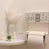 100円ショップのアイテムで劇的変身！チャレンジしてみたいトイレのDIYアイデア集