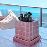 【みんなが選んだ！】どんな植物も主役級に！Standard Productsの植木鉢4選