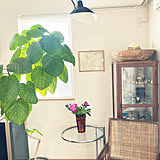 【今週の〇〇】テーマは「植物のある暮らし」！最新の投稿写真をピックアップ