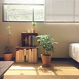 まねしたい!忙しい朝の時間を節約する10の方法