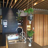 垢抜けインテリア＆おもちゃ作りを楽しみたい方にも！ペットボトルの再利用方法6選