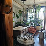 【今週の〇〇】テーマは「植物のある暮らし」！最新の投稿写真をピックアップ
