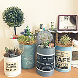 植物を生き生きと飾れる☆植木鉢や空き缶のリメイク＆DIY実例集