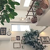 パシフィックファニチャーサービス(PFS)でかっこいい家づくり☆