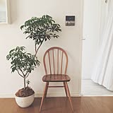 「曲げ木」の曲線が美しい!アーコールチェアの魅力