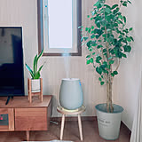 お部屋の中で快適に過ごせる♡おすすめの加湿器と加湿アイデア