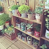 賃貸でもワンルームでも叶えたい。小さいスペースでグリーンのある暮らし