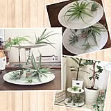 デザイン違いで色々作りたくなる!ケーキスタンドをDIY