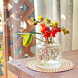 空き瓶が暮らしに馴染む道具に変わる！日常に楽しさを添えるリメイク実例集